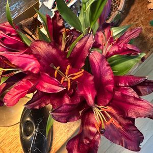 Meet your Posher, Holly